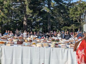 dozens of differentcakes on tables on a lawn