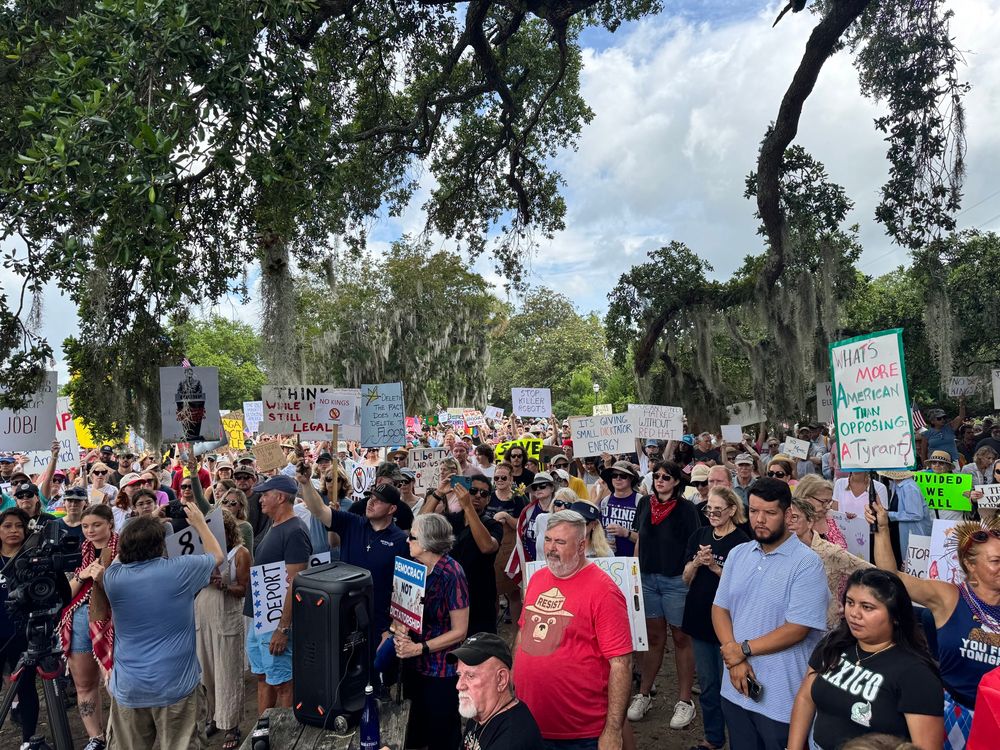shot of people in a crowd on a hot day's no kings rally in south carolina