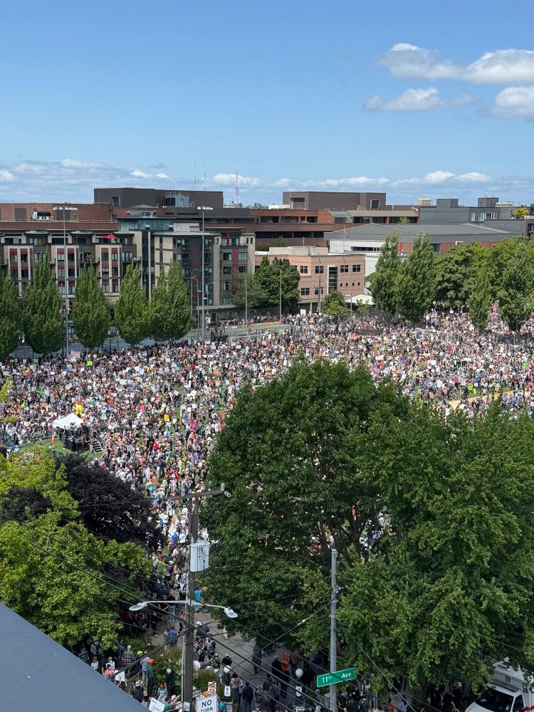 giant crowd in a huge public square and surrounding streets in seattle