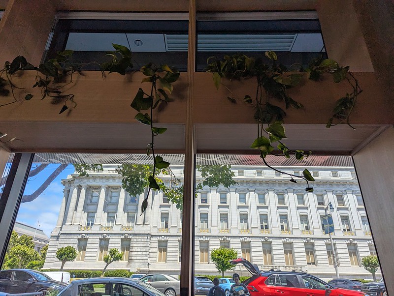 view of city hall out of large windows with trailing plants hanging down